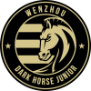 Wenzhou Professional
