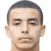 El Arguioui R.