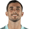 Perin M.