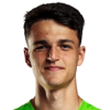 Surovcik J.